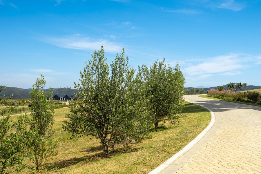 0 Bedroom Property for Sale in Welbedacht Western Cape